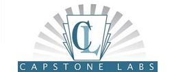 Capstone Labs are specialists in website design, web development, programming and IT consulting
