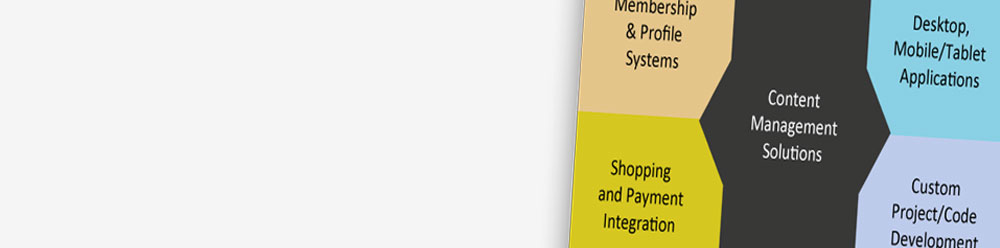 Website Design and Web Development